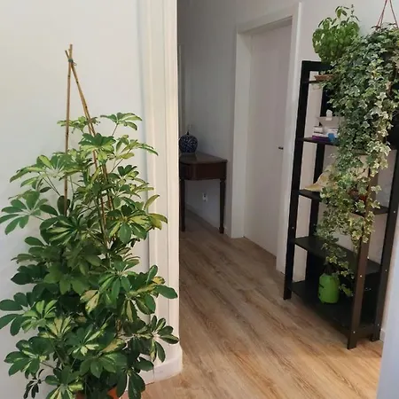 Hostel D&n Hospedagem-almirante Lissabon